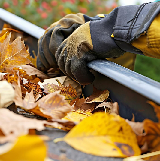 Gutter Cleaning